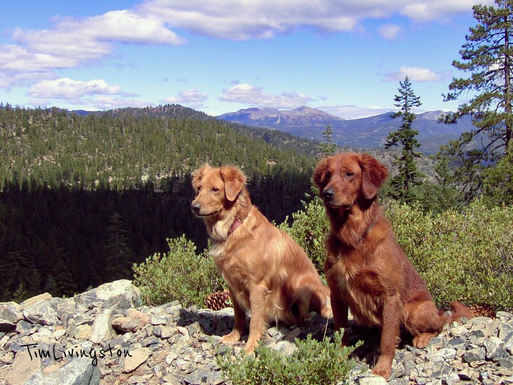 Tessa and Hunter in the mountains.