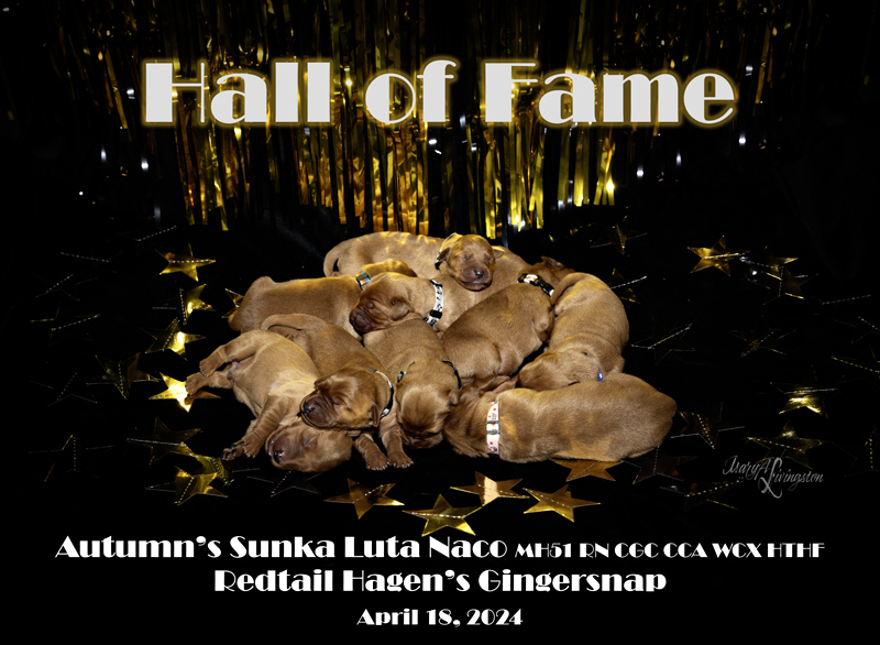 Hall of Fame first litter portrait.