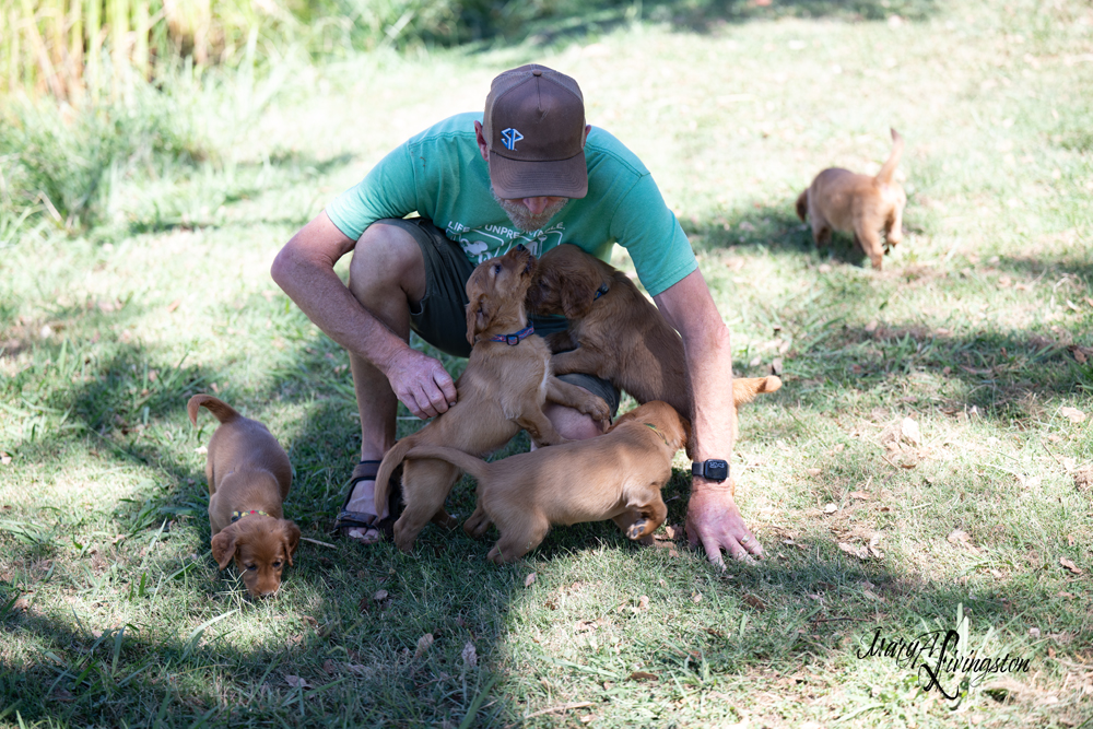Puppies love people!