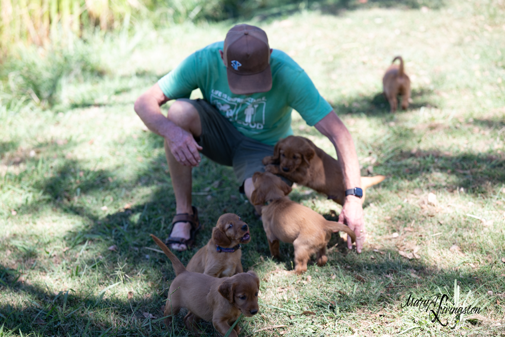 Puppies love people!