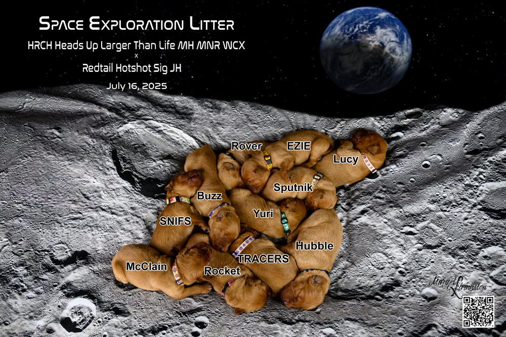 Puppies from Space Exploration Litter