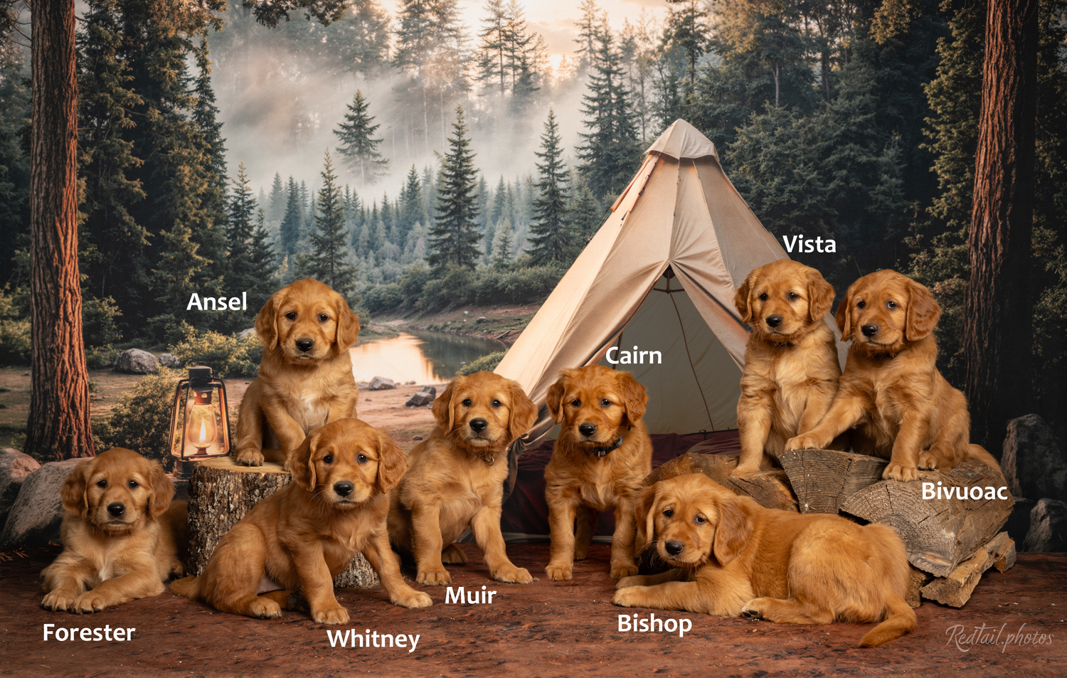 Litter photo