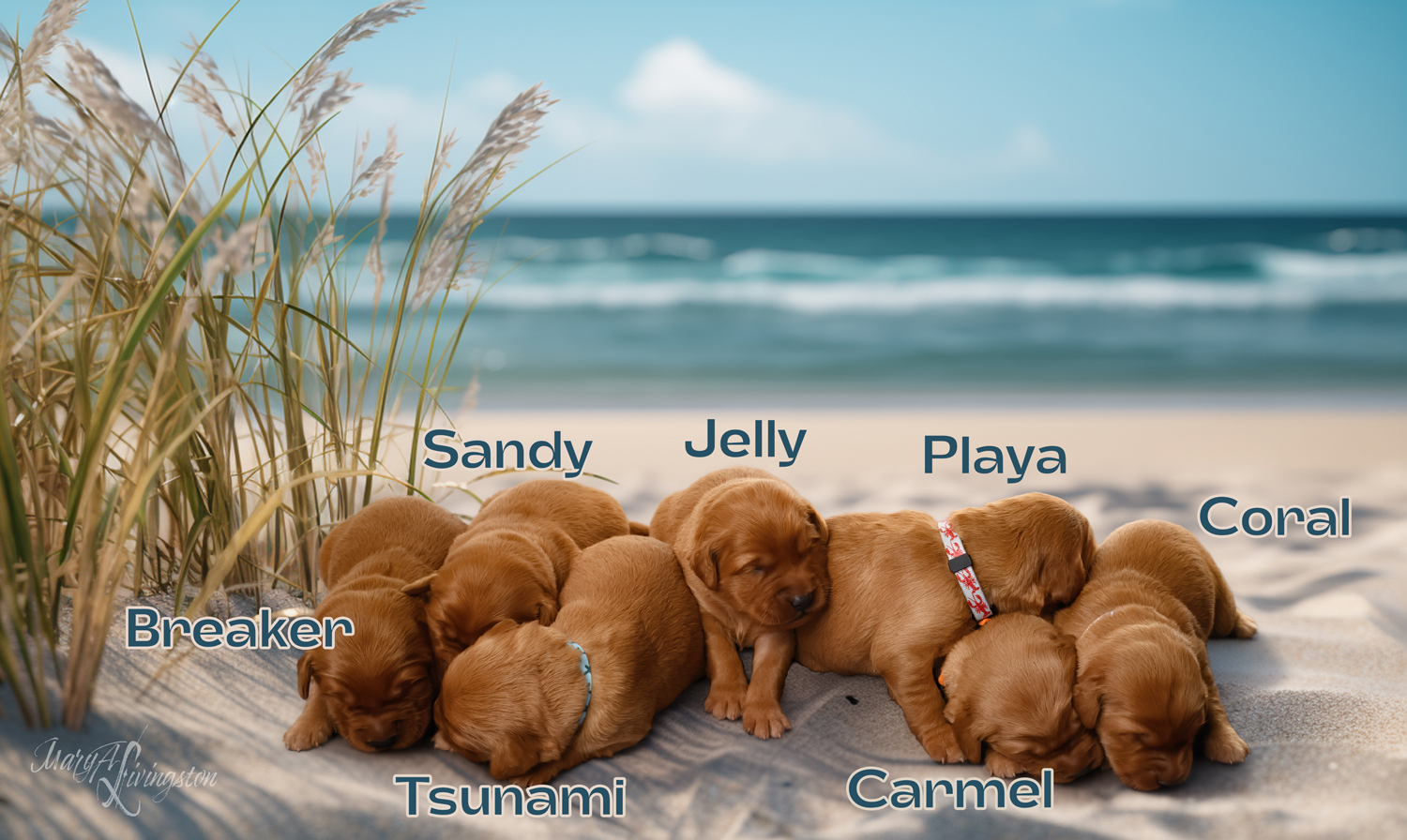 Puppies from Space Exploration Litter