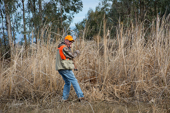 Redtails Ruff N Tumblin Tucker JH